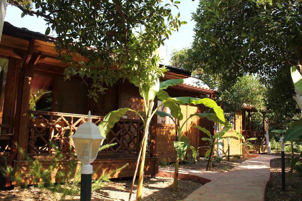 Grand Aygun Hotel Çıralı Oda fotoğraf
