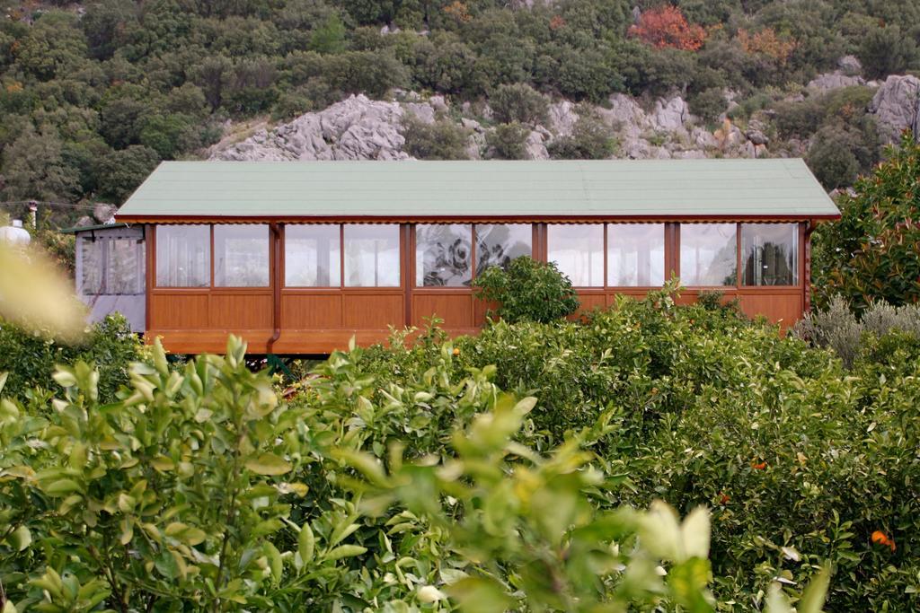 Grand Aygun Hotel Çıralı Dış mekan fotoğraf